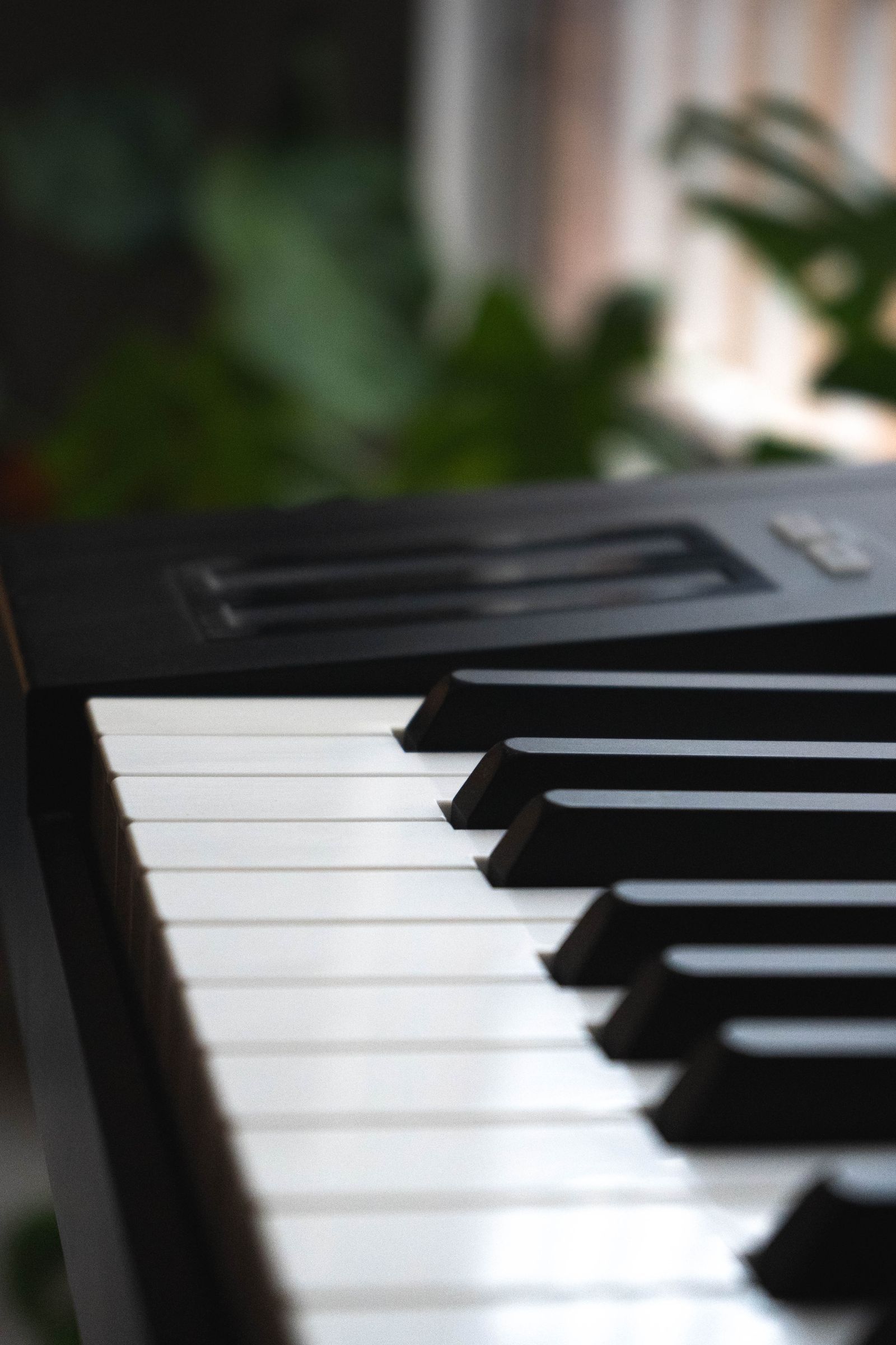 Gros plan sur le clavier noir et blanc d'un piano numérique haut de gamme, plantes vertes en arrière-plan