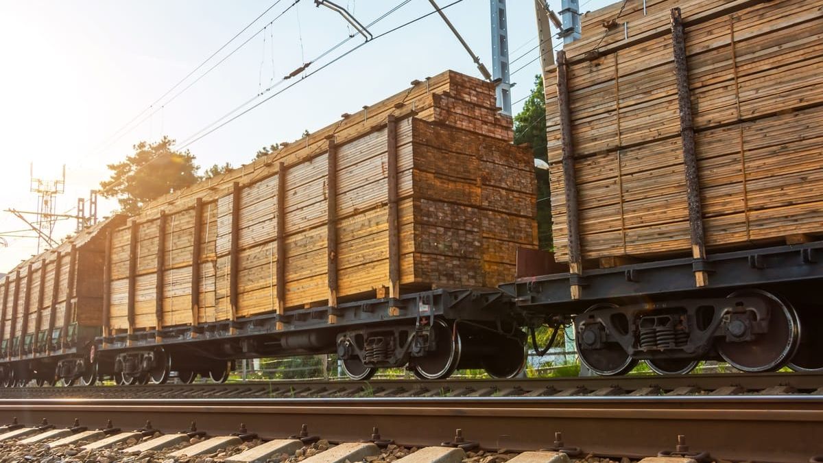Railcars loaded with stacked lumber on a rail line at sunrise