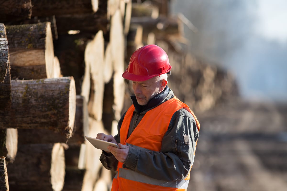 A buyer in a hard hat checking log inventory on a tablet