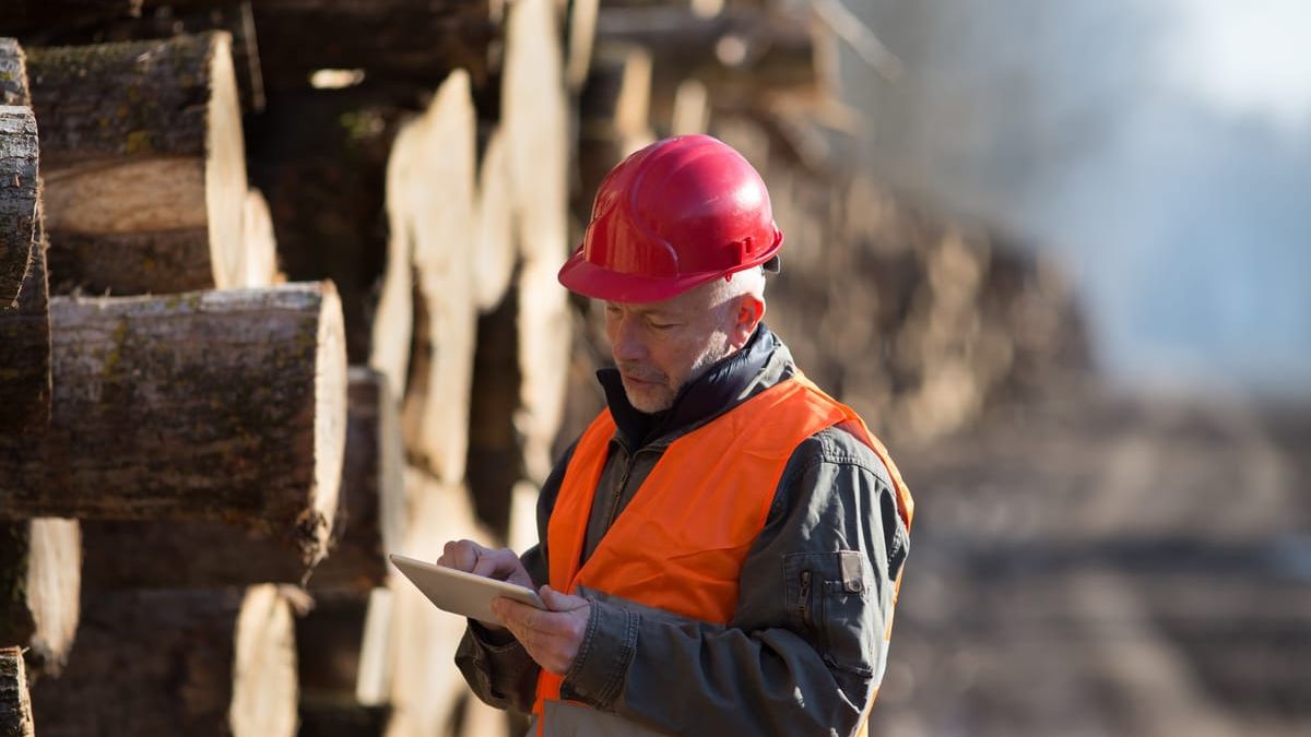 A buyer in a hard hat checking log inventory on a tablet