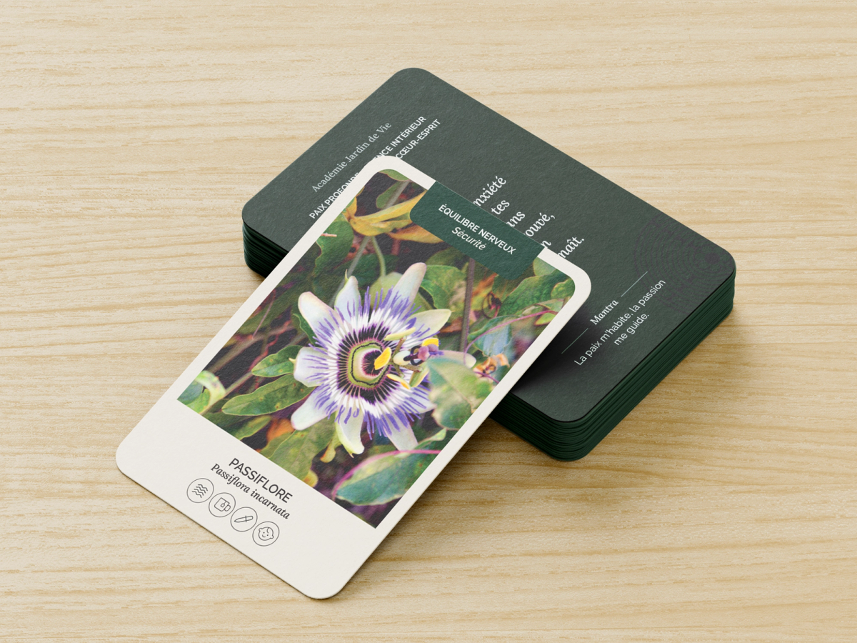 Cartes du jeu «Plantes nervines et adaptogènes» d'Académie Jardin de vie