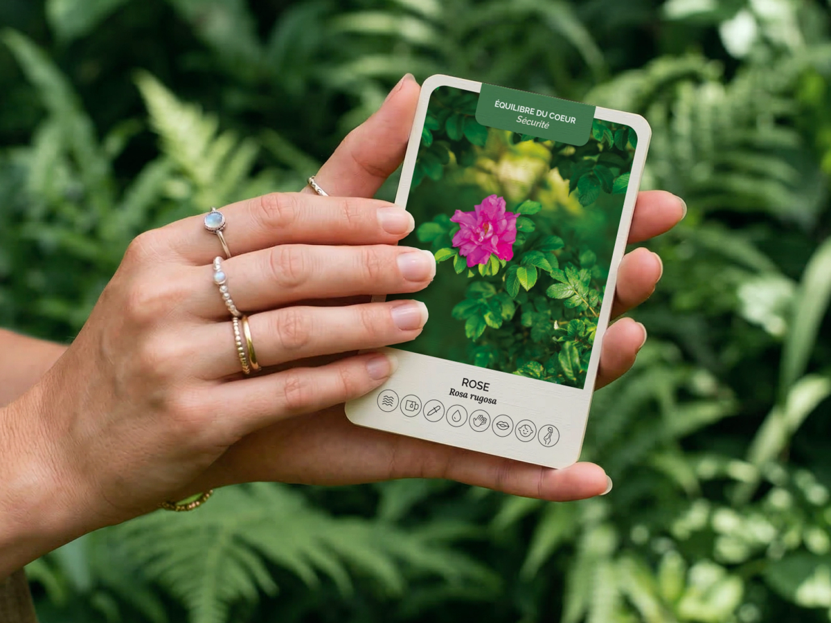 Carte «Rose» du jeu «Plantes nervines et adaptogènes» d'Académie Jardin de vie