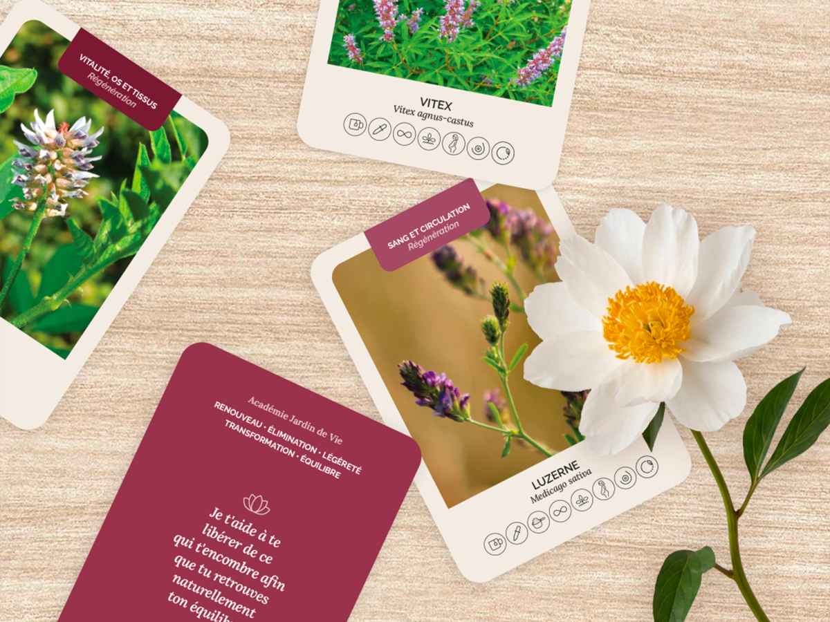 Cartes du jeu «Plantes du bien-être féminin» d'Académie Jardin de vie