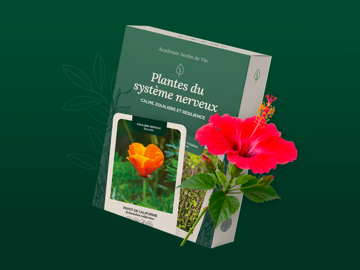 Boîte du jeu «Plantes nervines et adaptogènes» d'Académie Jardin de vie
