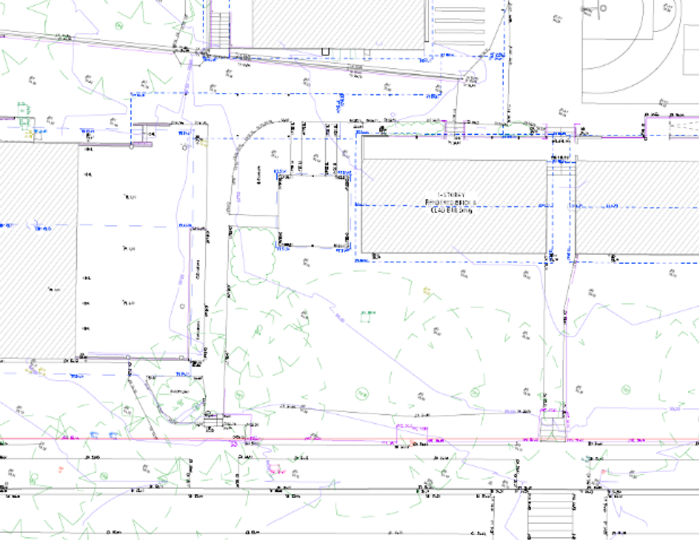 Extract of a detail and level survey plan