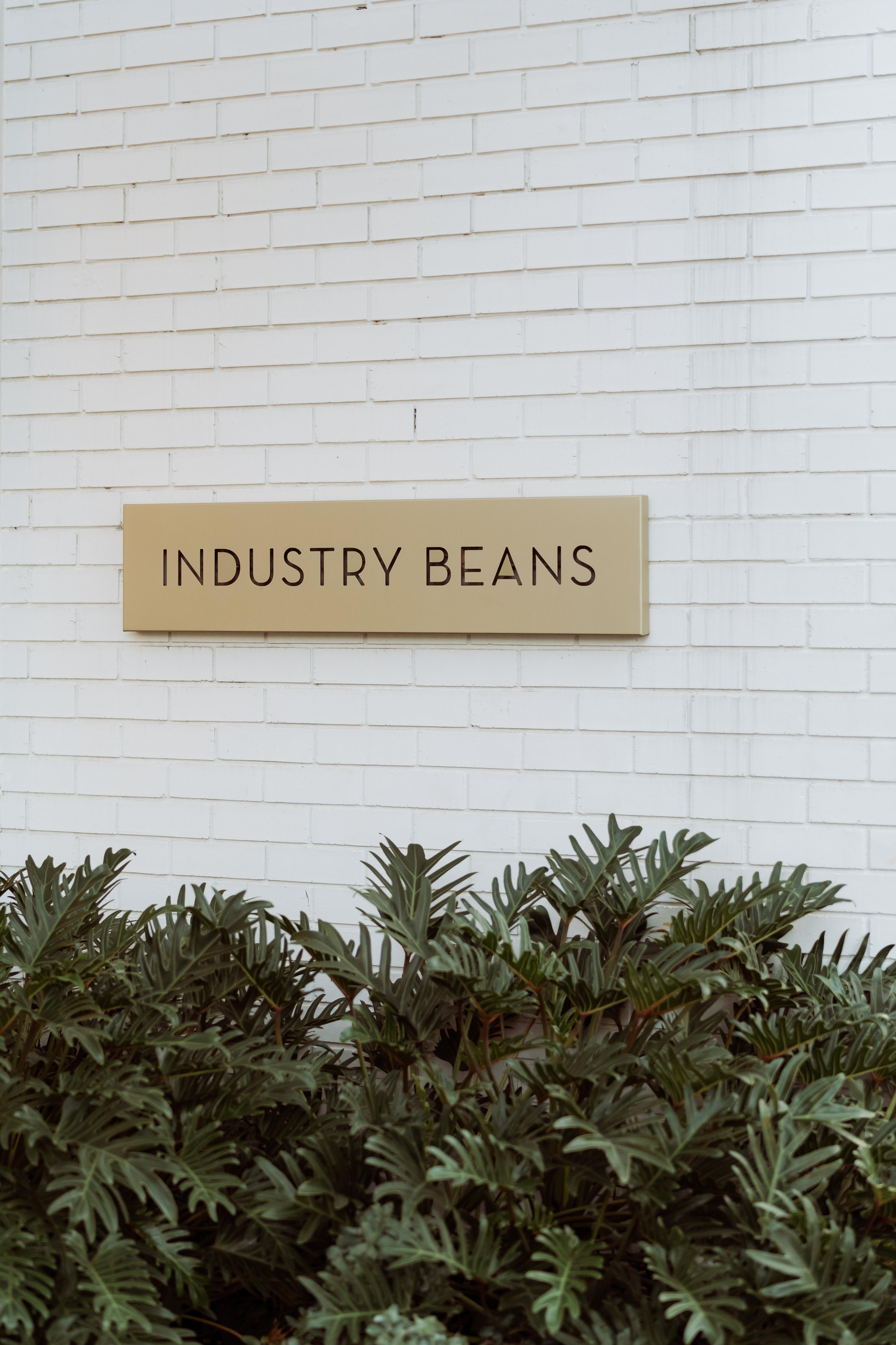 Industry Beans Newstead exterior sign on a white brick wall with greenery, photographed for the Brisbane brand activation gallery.