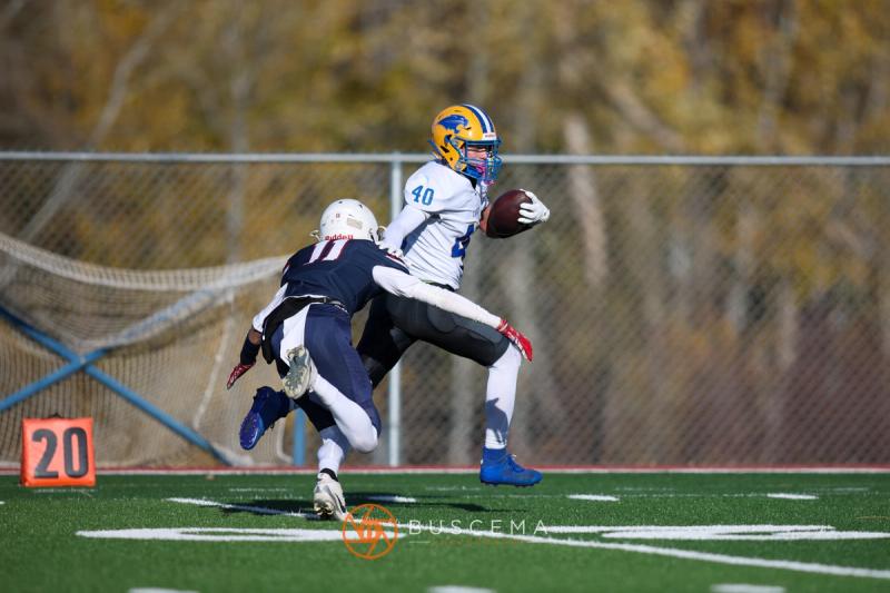 Carey @ Coeur du Christ Academy 1A Football Quarterfinals photo 18
