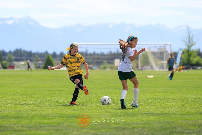 Sting 14G Black vs Flathead Valley photo 4