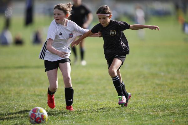 Sting 14G Yellow v BigFork SC