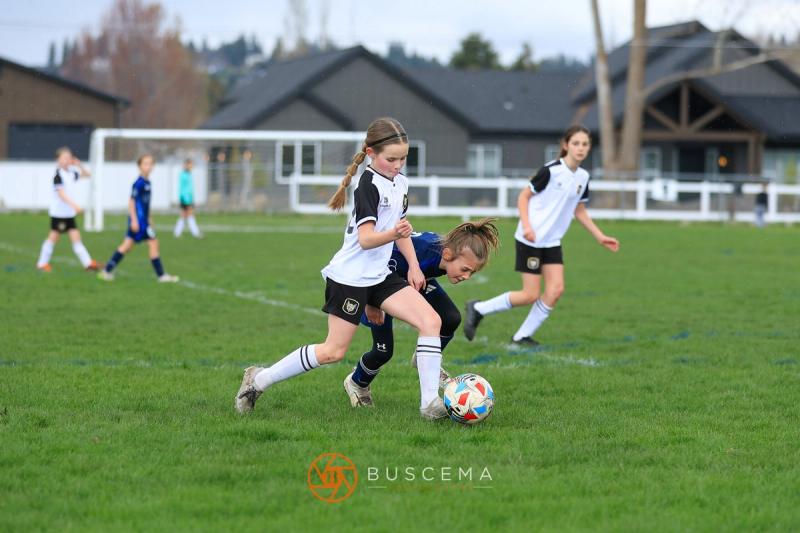 Sting 14G v Spokane Shadow Valley photo 19
