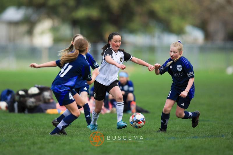Sting 14G v Spokane Shadow Valley photo 3