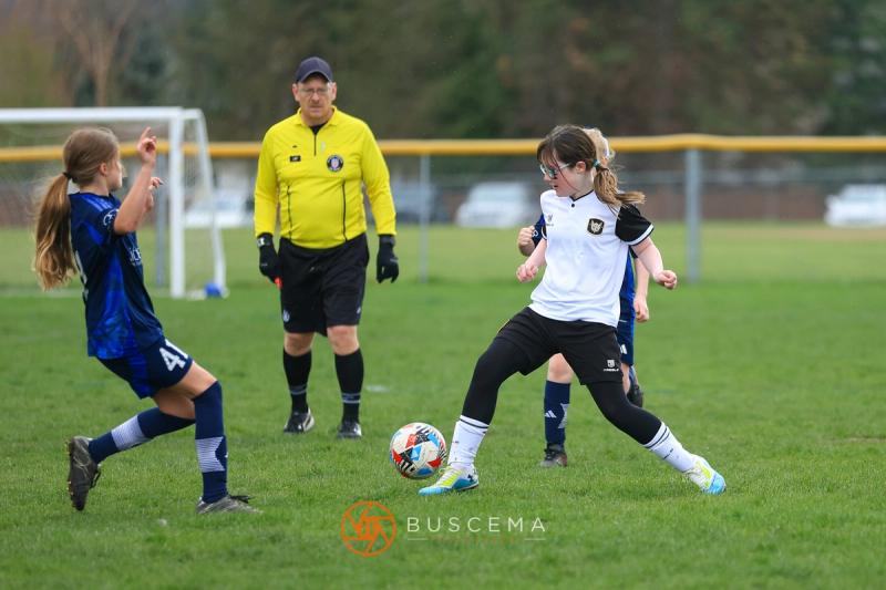 Sting 14G v Spokane Shadow Valley photo 6