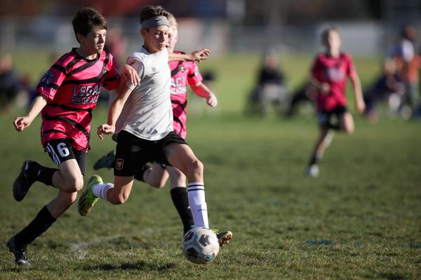 Sting 11B Premier vs Legacy