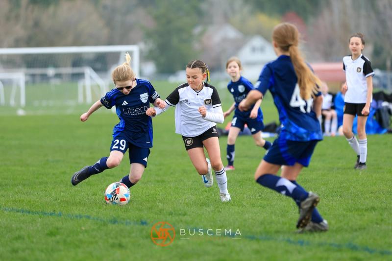 Sting 14G v Spokane Shadow Valley photo 8