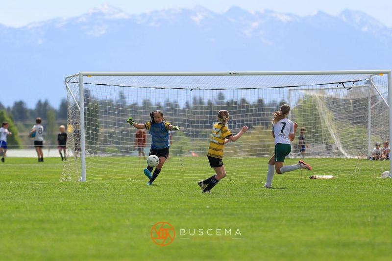 Sting 14G Black vs Flathead Valley photo 6
