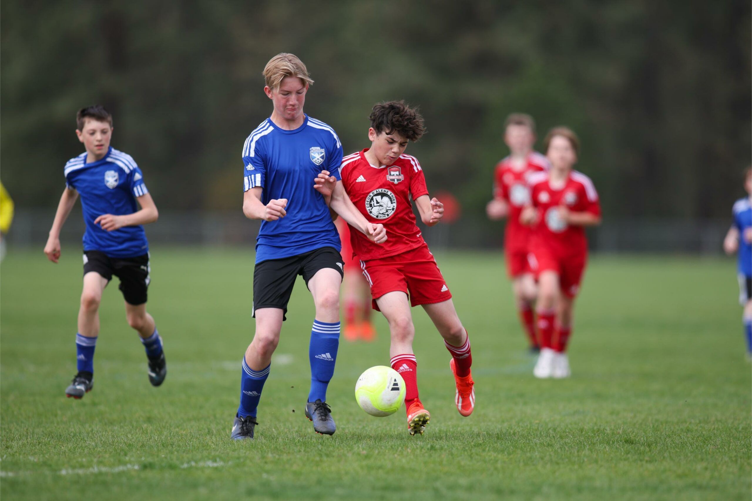 Timbers North FC 11B v Spokane Scotties