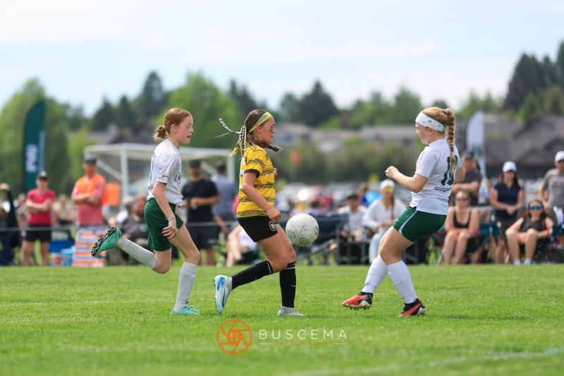 Sting 14G Black vs Flathead Valley photo 18