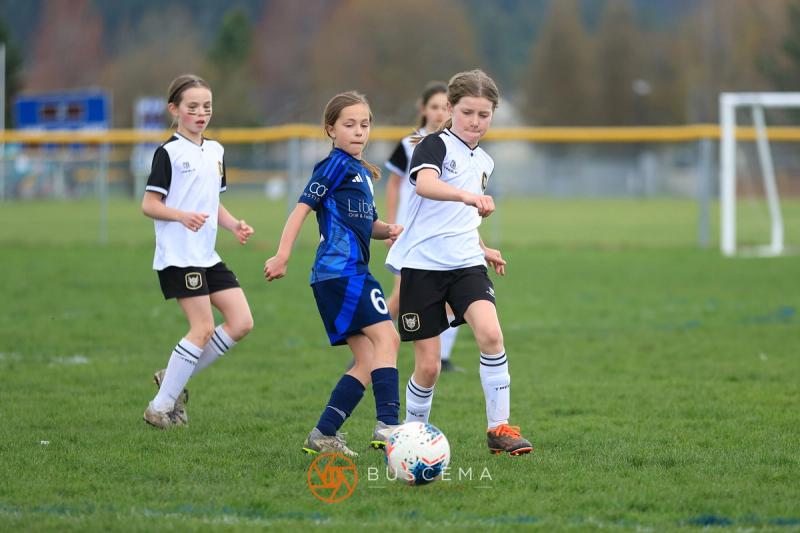 Sting 14G v Spokane Shadow Valley photo 13