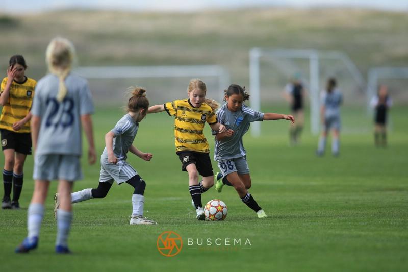 Sting 14G Yellow @ Spokane Shadow G15 Rave photo 11