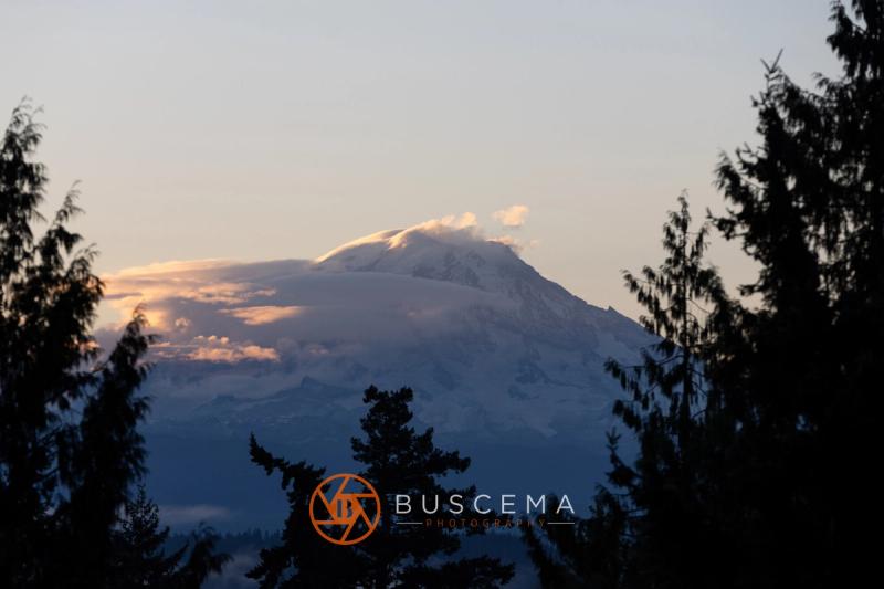 Mt. Rainier at sunrise, seen through the trees on the morning of the game