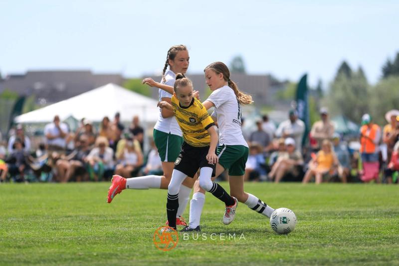 Sting 14G Black vs Flathead Valley photo 11