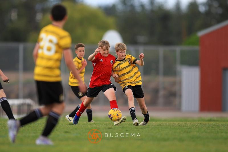 Sting 11B Premier @ Storm FC B11 photo 20