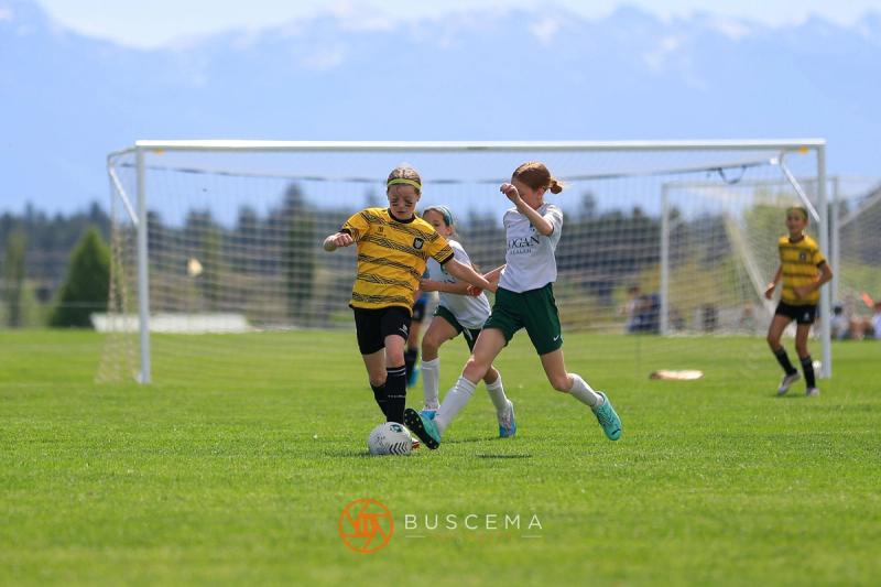 Sting 14G Black vs Flathead Valley photo 7
