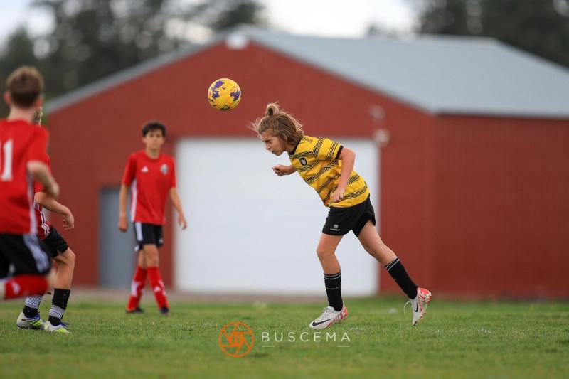 Sting 11B Premier @ Storm FC B11 photo 10