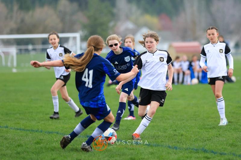 Sting 14G v Spokane Shadow Valley photo 10