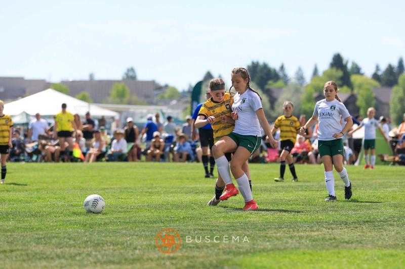 Sting 14G Black vs Flathead Valley photo 3