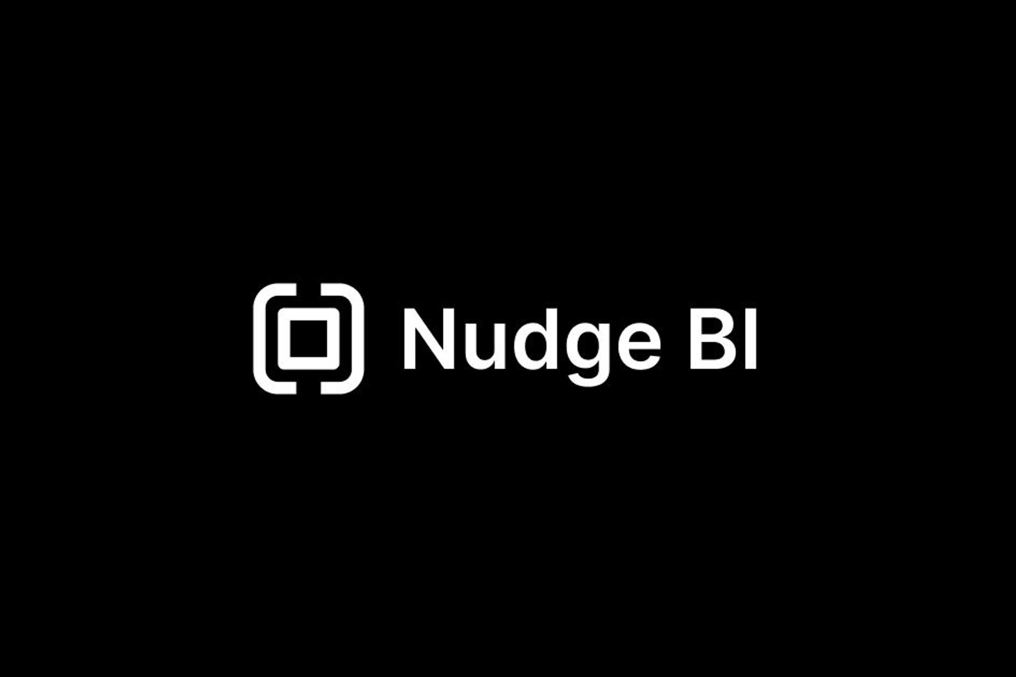 Homepage for Nudge BI