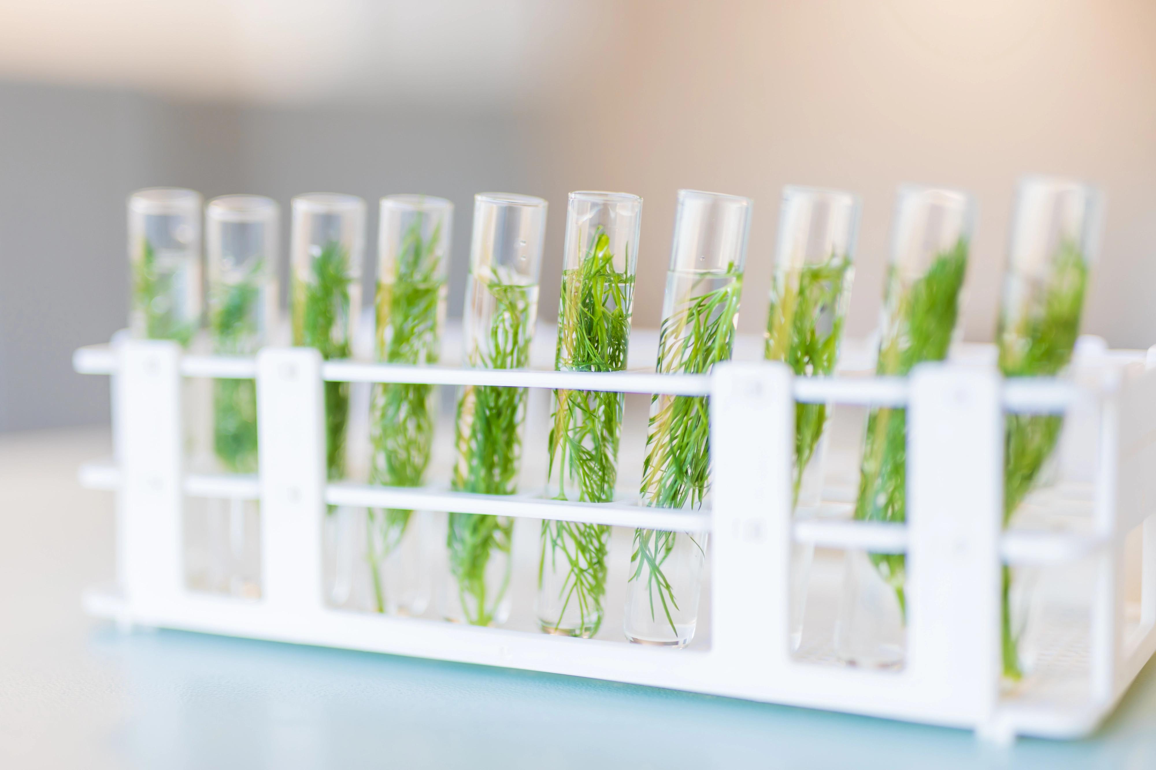DAB | DAB.bio is Revolutionizing Industrial Biotech
