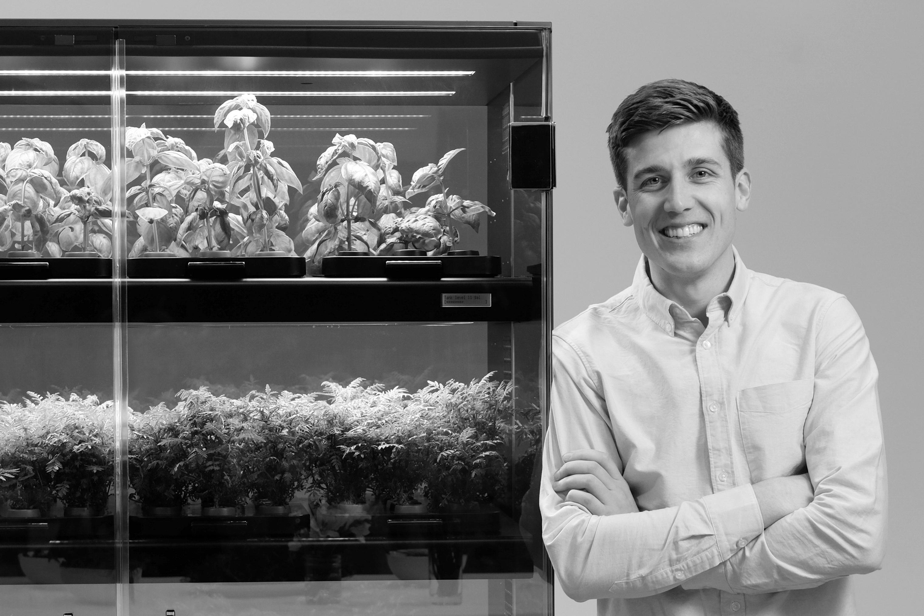 Young plants growing in a Farmshelf hydroponic indoor garden