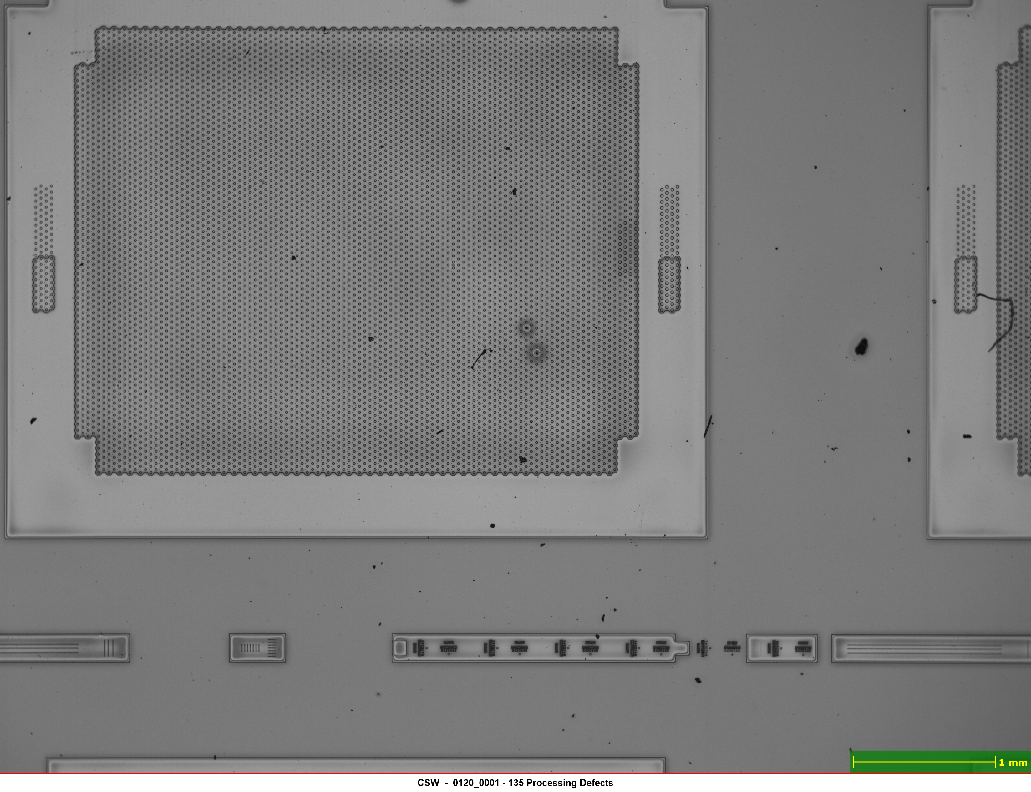 Raw image of defect map captured by nSpec Macro