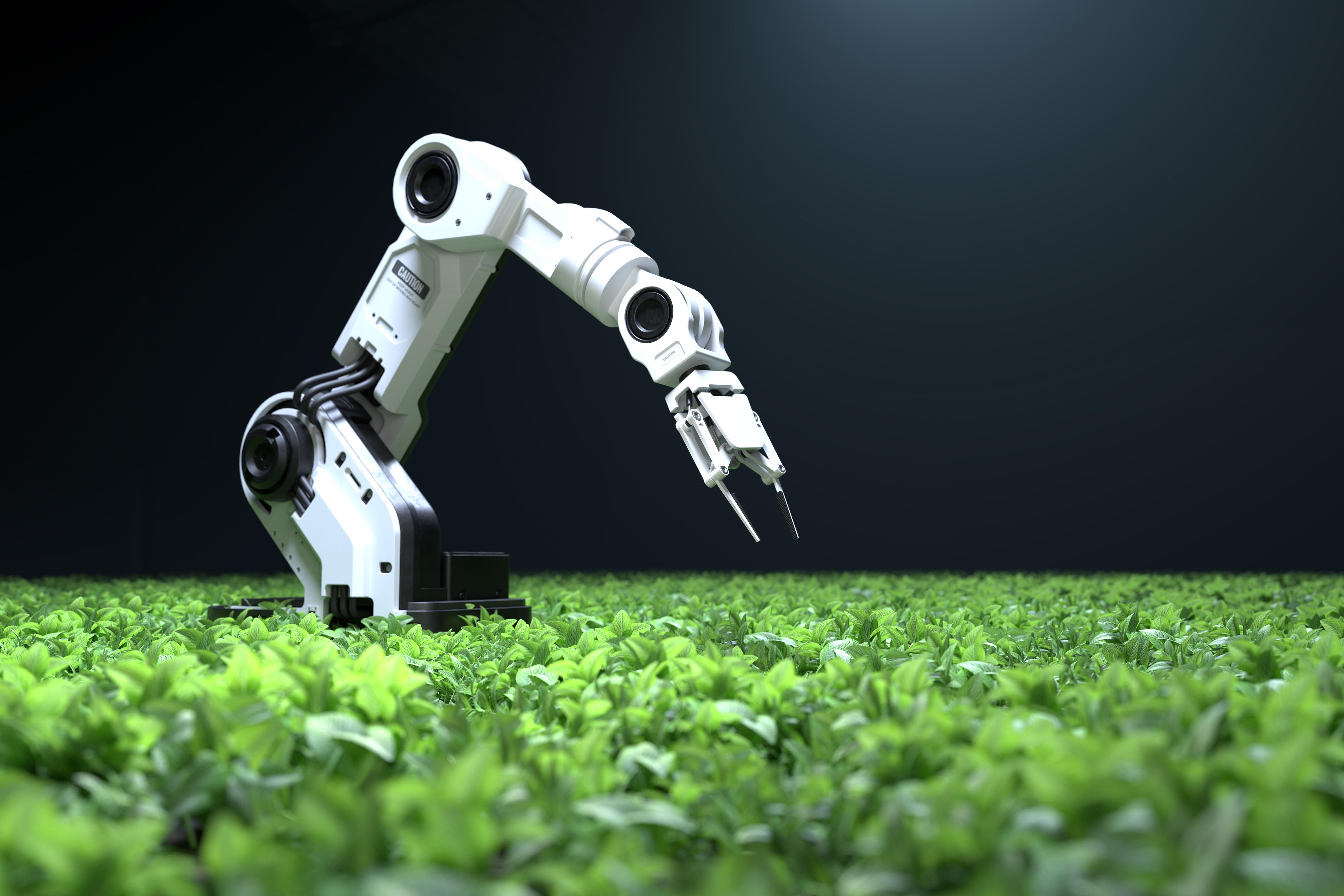 A robotic arm inspecting and manipulating crops as they grow