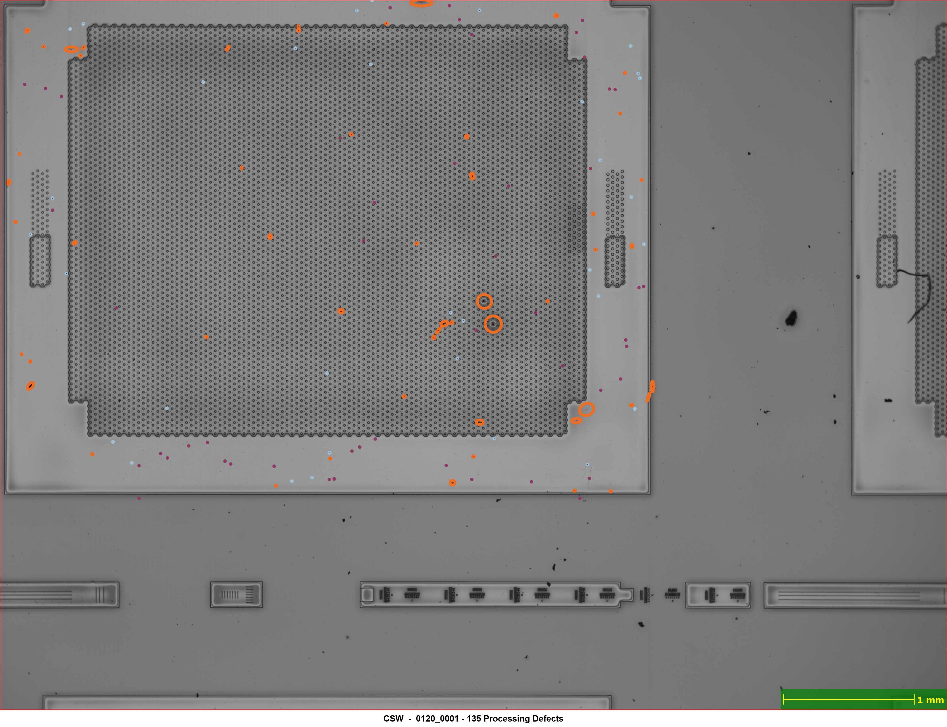 Defect map captured by nSpec Macro