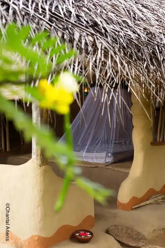 Single Hut photo 2