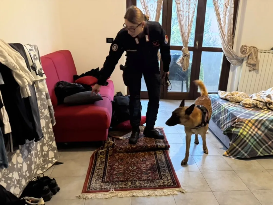 La Storta e Casalotti, maxi controlli dei Carabinieri: 8 arresti e 20 denunce