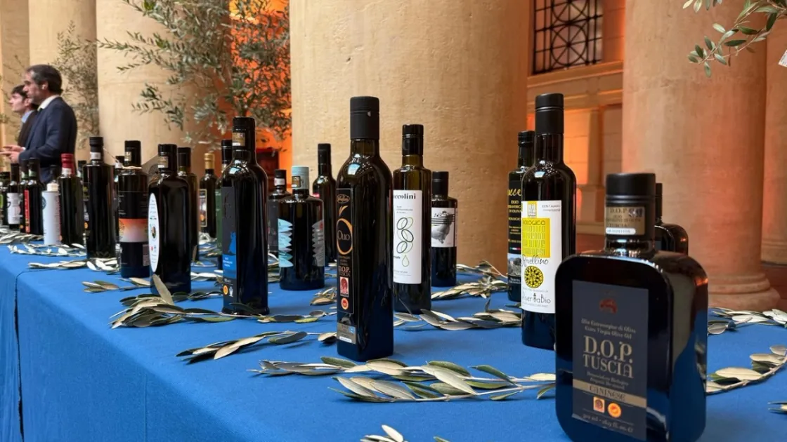 Premio Roma Evo 2026, premiati i migliori oli extravergine del Lazio: 16 etichette in finale all’Ercole Olivario