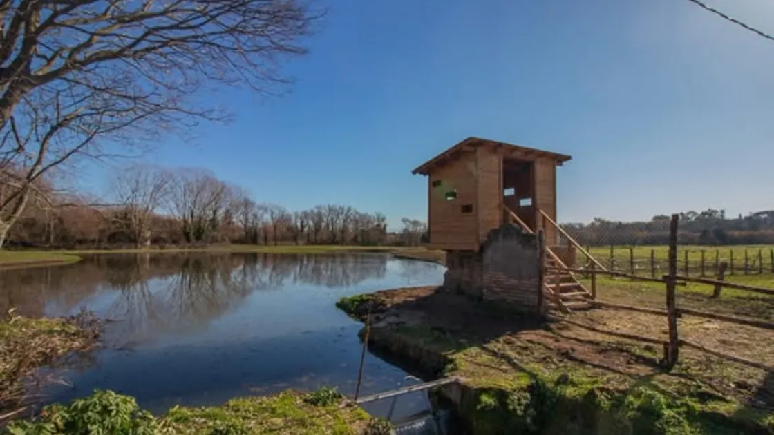 L'area umida della Caffarella (foto di Gianluigi Servolini)