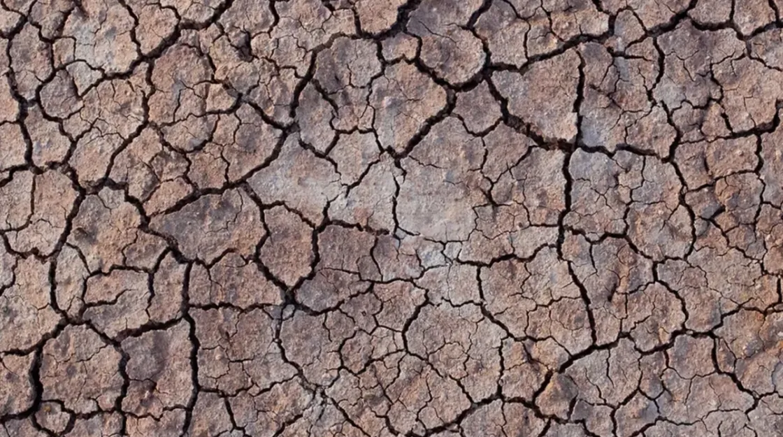 Crisi climatica nel Lazio, danni per oltre 150 milioni e coperture ferme al 18%, secondo un report di Greenpeace