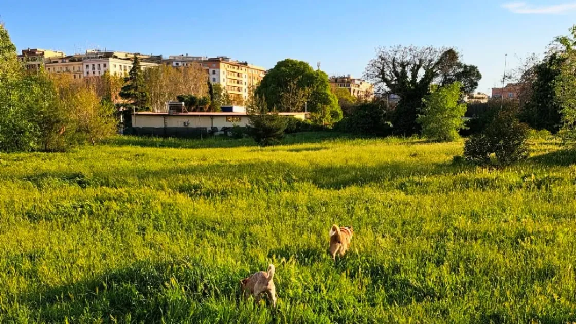 Il Pratone di via Teulada