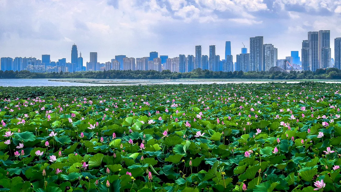 Fonte: Xinhua