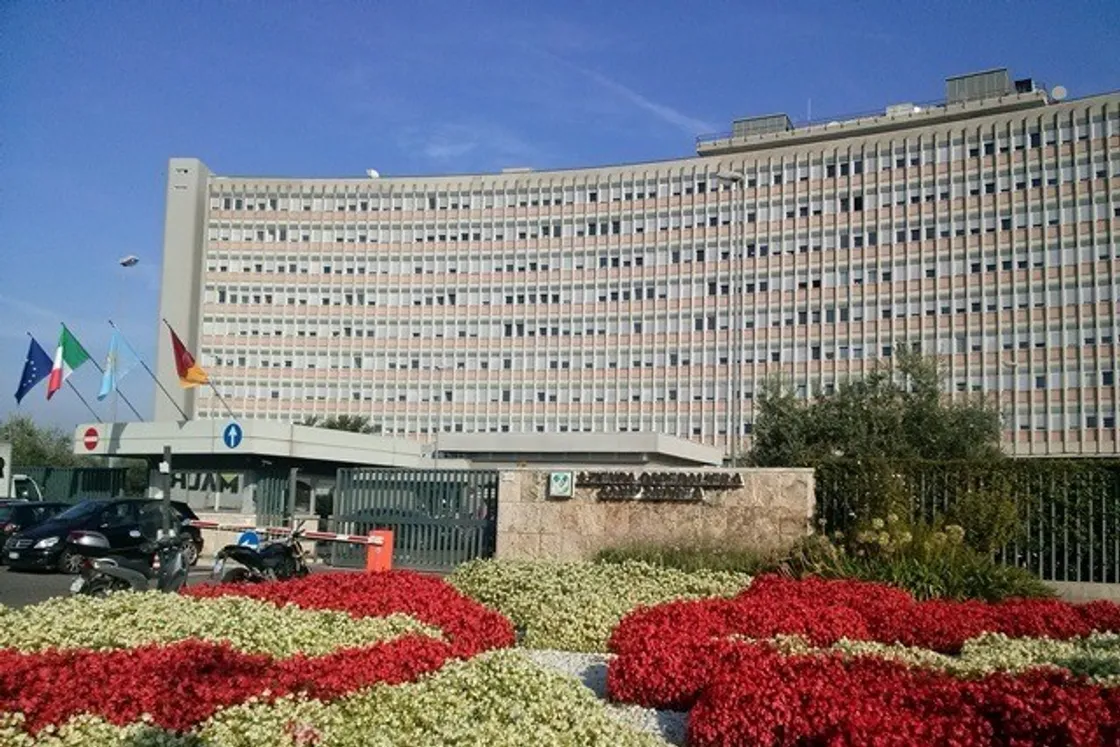 Distrofia muscolare FSHD, al Sant’Andrea di Roma parte una sperimentazione innovativa