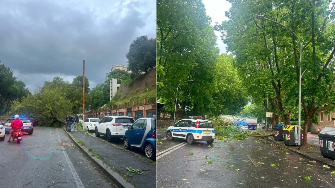 Alberi crollati sulle strade per il maltempo, dal Flaminio ai Parioli