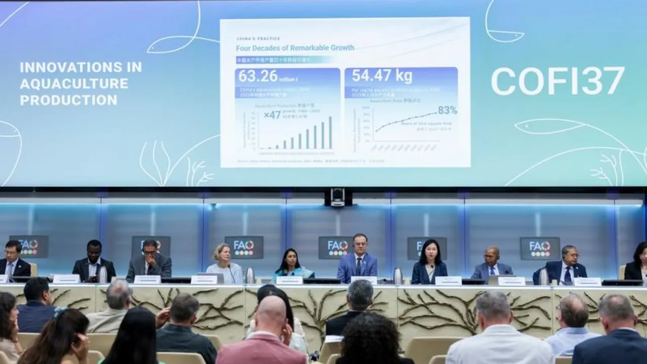 L’evento “Innovations in Aquaculture Production” alla sede della FAO di Roma, l’8 settembre 2026. Foto Xinhua/Li Jing