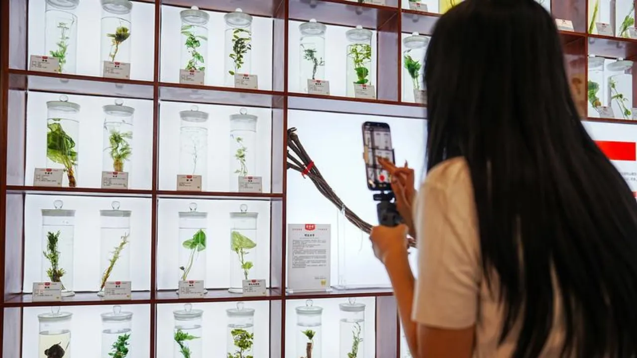 Visitatori utilizzano macchinari basati sull'intelligenza artificiale per consulti sanitari all'interno del resort di Hongjitang, a Jinan, il 24 agosto 2026. Foto Xinhua/Dai Mingxuan
