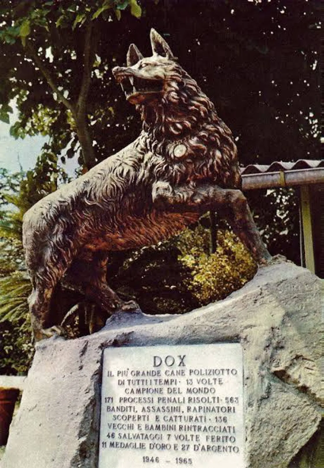 Una statua per Dox: al Forte Ostiense il monumento per il cane poliziotto che contribuì a centinaia di indagini