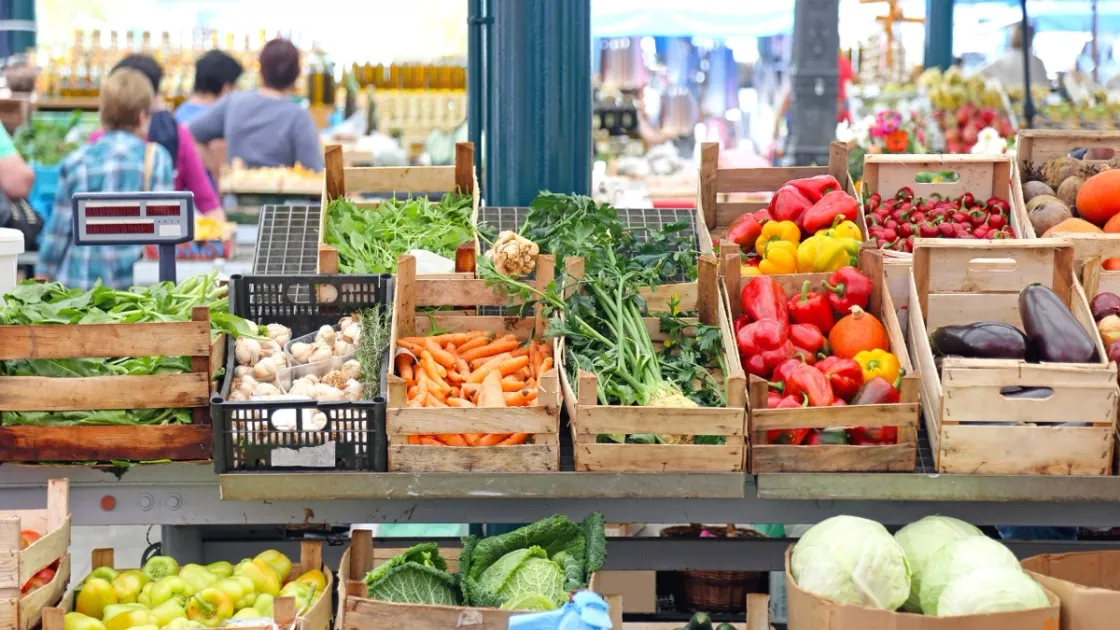 Agro Romano, quattro giornate tra degustazioni, musica e cultura nei mercati di Magliana ed Eur