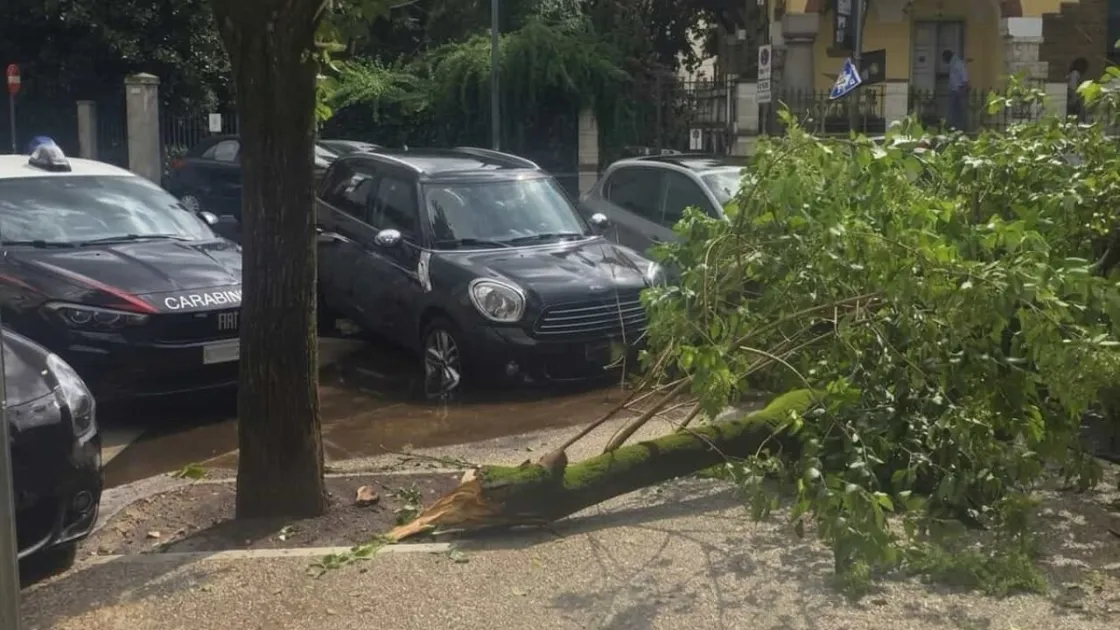 Maltempo a Roma, il ramo spezzato dal vento ferisce tre studenti davanti al liceo Avogadro